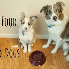 For meat eaten by dogs themselves, see dog food. 10 Common People Foods That Can Kill Your Dog Pethelpful