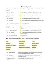 Network of nerves to forelimb. Nervous System Worksheet Docx Nervous System In The Space Provided Write The Letter Of The Description That Best Matches The Term Or Phrase D 1 Neuron Course Hero