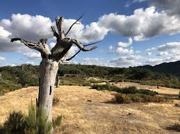 Visit La Acena De La Borrega Spain Valencia Municipality
