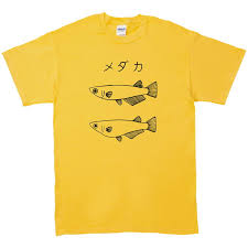 Yahoo!ショッピング - Yahoo! JAPAN