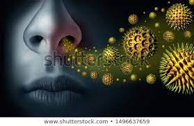 Stock Photo Seasonal Pollen Allergy And Hay Fever Allergies As A Medical Concept With Microscopic Organic Pollen Pa Pollen Allergies 3d Illustration Hay Fever