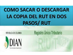 Por qué una persona natural debe sacar el rut. Como Sacar O Descargar La Copia Del Rut En Dos Pasos Registro Unico Tributario Dian Colombia Youtube