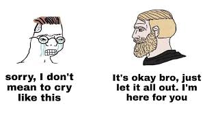 Zoomer Crying To Yes Chad Funny Memes Stupid Funny Memes Memes