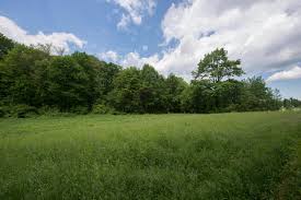 Land synonyms, land pronunciation, land translation, english dictionary definition of land. Land Management Office Of General Services