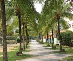 Malaysia, asien, borneo, borneo beach, borneo insel, erhaltung, korallenriffe, ökosystem, umwelt, insel, malaysia wahrzeichen, malaysianer reisen, marine, natur, ozean, pazifikinsel, pazifik, pazifik. Reisen Und Lebenshaltungskosten In Malaysia Pfennigfuchser