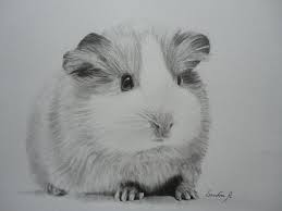 epingle sur realistic animal pencil drawings coloriage de temps pain