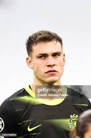 380 Photos & High Res Pictures