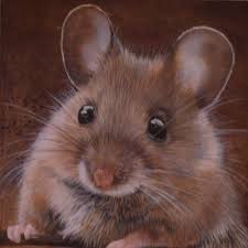 Daily Paintworks Search Through Our Over 100 000 Paintings New Original Fine Art Daily Paintings Oils Acrylics Watercolor Pet Mice Cute Animals Pet Birds