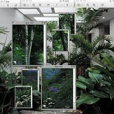 Explore tumblr posts and blogs tagged as #house plants with no restrictions, modern design and the best experience | tumgir. Plants Of Tumblr This Pic Is Reposted From My Main Account I Just