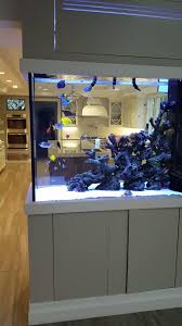 Awesome Custom Saltwater Aquarium In Home Kitchen By Aqua Creations Video Fish Tank Design Fish Tank Custom Aquarium