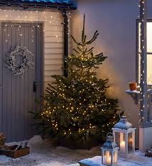 / bookcases & storage cubes. The Best Real Christmas Tree Guide Homebase Homebase