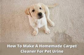 The best carpet stain removers of 2021. How To Make A Homemade Carpet Cleaner For Pet Urine