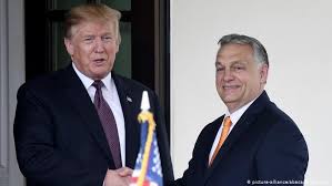 Ursula von der leyen and viktor orban. Donald Trump Meets Hungary S Viktor Orban At The White House News Dw 13 05 2019