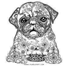 French bulldog coloring pages are a fun way for kids of all ages to develop creativity focus motor skills and color recognition. 12 Free Printable Adult Coloring Pages For Summer Everythingetsy Com