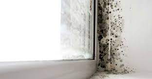 While window condensation is generally nothing to worry about, there are times when it can be a cause for concern. Is Condensation On Windows Bad Causes How To Stop It Ecohome