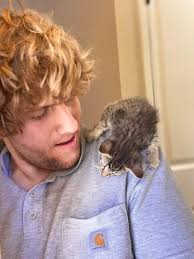 Lisa Miley (litaann333)