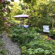Lieblingspflanzen In 2020 Blumen Fur Garten Gruner Garten Cottage Garten