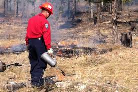 Bc wildfire se rvice (bcws) , kanada'nın british columbia eyaletinin orman yangını bastırma hizmetidir. Wildfire Service Waiting For Dry Weather For Controlled Burn Grand Forks Gazette
