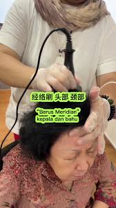 GenQi BES untuk Penjagaan Kepala: 经络刷 头部 颈部 "Berus Meridian" kepala dan  bahu • Titik Akupuntur Utama: • Garis tengah bahagian atas kepala yang  bersilang dengan garis kedua-dua hujung telinga: Baihui ...