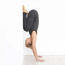 It is the adaptation of a novel of the same title by lilian lee. Funky Simplicity Catsuit Black Green Snake Yogisha