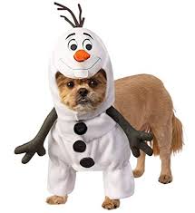 The Best Disney Dog Costumes For Halloween From Mickey To The Minions