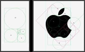 Résultat de recherche d'images pour "nombre d'or corps humain"