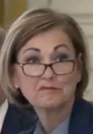 Gov. Reynolds announces appointments to Iowa's boards & commissions