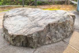 Birds Of Cape Cod National Seashore Indian Rock Cape Cod Bird Watchers Samuel De Champlain