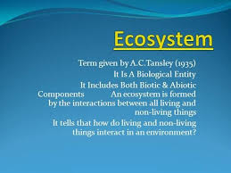 Biotic And Abiotic Factors In An Ecosystem Slideshare Ecosystems Ppt By Ishwarkm Via Authorstream With Images Ecosystems Ppt Abiotic