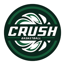Nba logo png images free download, national basketball association png. West Michigan Crush Basketball Youth Travel Aau Basketball Teams