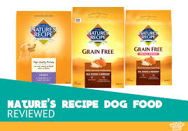 Nature S Recipe Dog Food Review Dry Reviews And Ratings For 2020