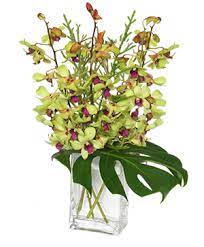 Read 19 reviews, view ratings, photos and more. Tropical Interiors Florist Serving Palmetto Ellenton Parrish Flowers Plants