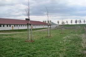 Für den fall, dass eine brechnung des umbauten raumes durch die baufirma nicht erstellt werden kann oder bei. Bauen Im Aussenbereich Antrag Auf Baugenehmigung