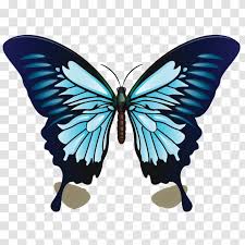 Ulysses Butterfly Color Blue Drawing Transparent Png Most children change what they would like to color often. ulysses butterfly color blue drawing