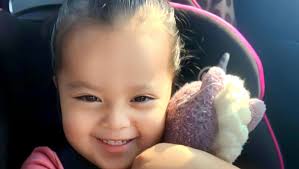 Fundraiser by Isabel Parada : Remembering Alaia Rose: A Loving Farewell