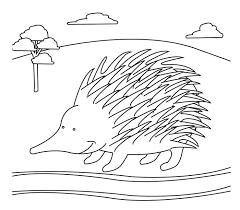 Animal Templates Free Premium Templates Animal Coloring Pages Animal Templates Australian Animals