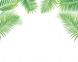 Green Tropical Leaves Border Png Photo 506 Pngfile Net Free Png Images Download Halloween tree cat airship smoke fire explosion. green tropical leaves border png