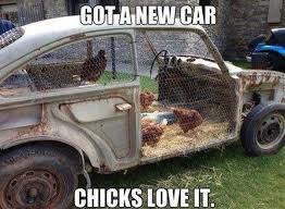Farming Funnies Farming Memes Cartoons Photos Images The Rural Nz Chicken Coop Chicken Coop Designs Chicken Diy