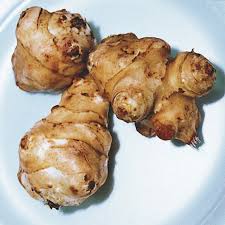 Does it have any health benefits? Jerusalem Artichoke Tubers Jerusalem Artichoke Jung Seed Company