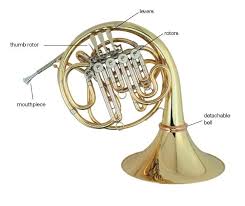 French Horn Buyers Guide Comparison Chart Wwbw Com