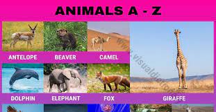 Africa has long been recognized as a hub for varied african animals ranging from small sized to the large. Animals A Z Visual Dictionary