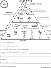 Pin By Matty John On Ecology Ecological Pyramid Energy Pyramid Food Web