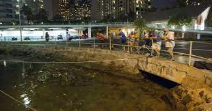 Tsunami hit hawaii islands after 7.7 hawaii tsunami @tsunamihi. Small Tsunami Waves Hit Hawaii After Canada Earthquake