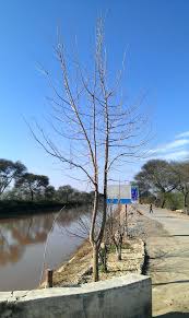 Використовуй мобільний додаток для управління лімітами, блокування картки чи рахунків з. East Bank Of Brb Canal Mapio Net