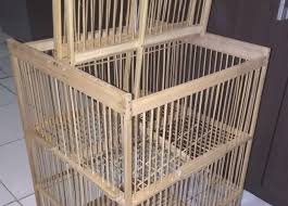 Membuat kandang jebakan ini menurut para komunitas burung kicau sangat mudah untuk dibuatnya. Cara Membuat Jebakan Burung Sederhana Dan Mudah