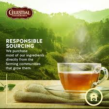 Celestial Seasonings Decaf Candy Cane Lane Holiday Green Tea Walmart Canada