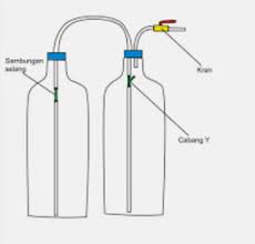 Apabila semua komponen di atas sudah terkumpul, sekarang kita bisa info yang sangat bermanfaat untuk mengetahui cara membuat aquascape.mungkin kedepannya ane bakal buat aquascape dirumah.nah sekarang giliran ane yang. Diy Co2 Aquascape Aquascape Ideas