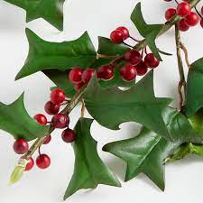 Holly Berry Stem Christmas Plants Holiday Centerpieces Crate And Barrel