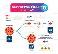 Alpha Particle Vector Illustration Infographic Diagram Chemistry Classroom Physics And Mathematics Teaching Chemistry