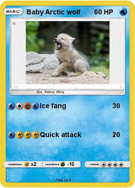 861x605 baby wolf wallpaper forwallpapercom. Pokemon Baby Arctic Wolf